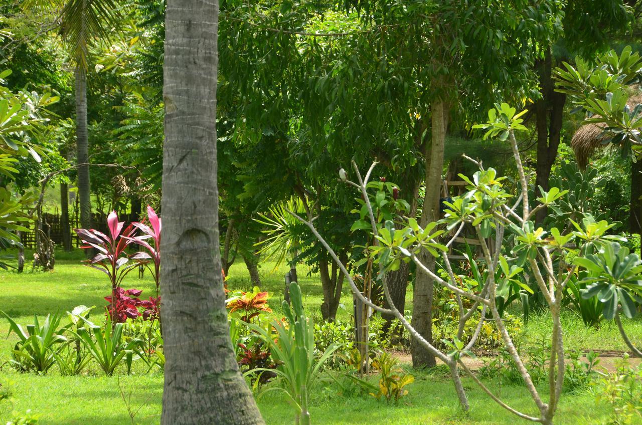 Amigos Bungalows Gili Meno Luaran gambar